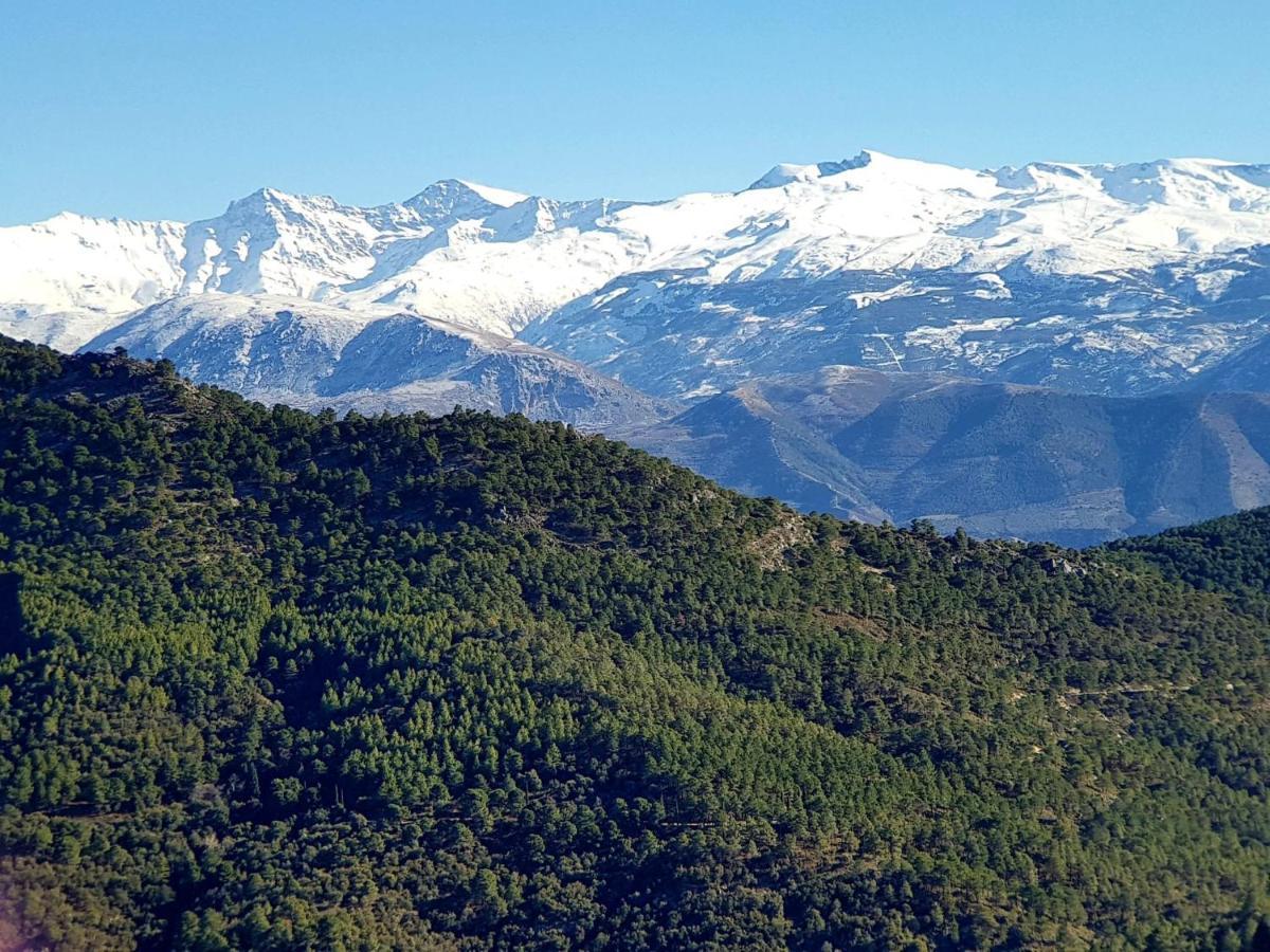 Rincon Del Genil Διαμέρισμα Cenes De La Vega Εξωτερικό φωτογραφία